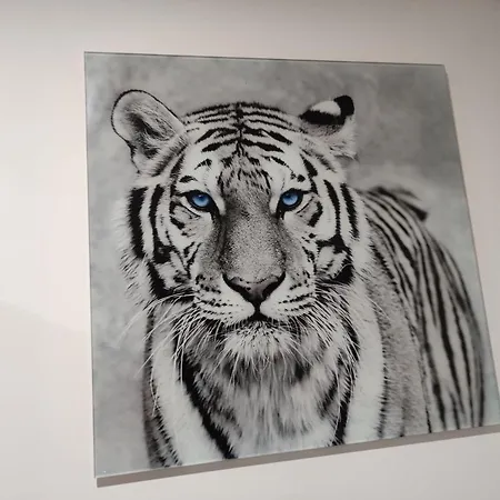 Appartement Eye Of The Tiger. W Centrum Mragowa.