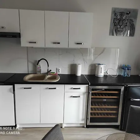 Apartament Eye Of The Tiger. W Centrum Mragowa. *