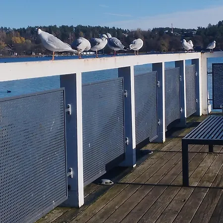 Eye Of The Tiger. W Centrum Mragowa. Mrągowo