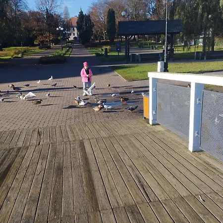 Eye Of The Tiger. W Centrum Mragowa. Мронгово