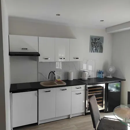 Eye Of The Tiger. W Centrum Mragowa. Appartement Mrągowo