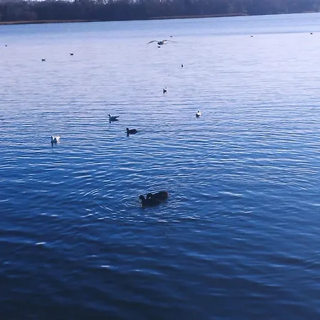 Eye Of The Tiger. W Centrum Mragowa. Apartament *