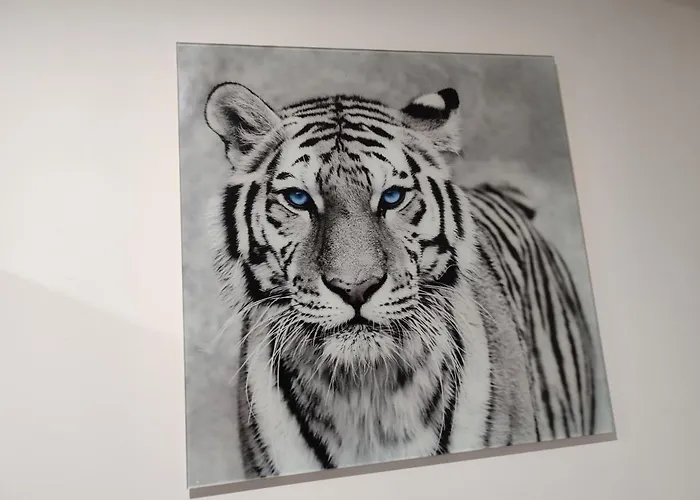 Apartament Eye Of The Tiger. W Centrum Mragowa.