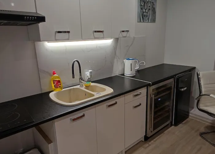 Apartament Eye Of The Tiger. W Centrum Mragowa. Mrągowo