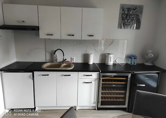 Apartament Eye Of The Tiger. W Centrum Mragowa. *