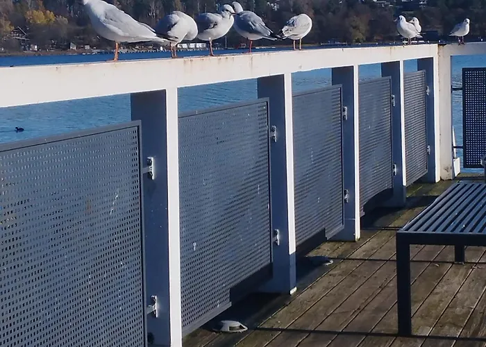 Eye Of The Tiger. W Centrum Mragowa. Mrągowo