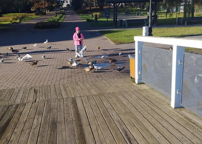 Eye Of The Tiger. W Centrum Mragowa. Mrągowo