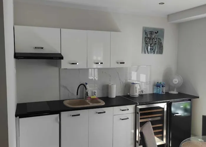 Eye Of The Tiger. W Centrum Mragowa. Apartament Mrągowo