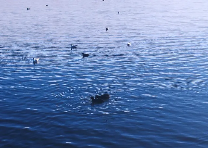 Eye Of The Tiger. W Centrum Mragowa. Apartament *